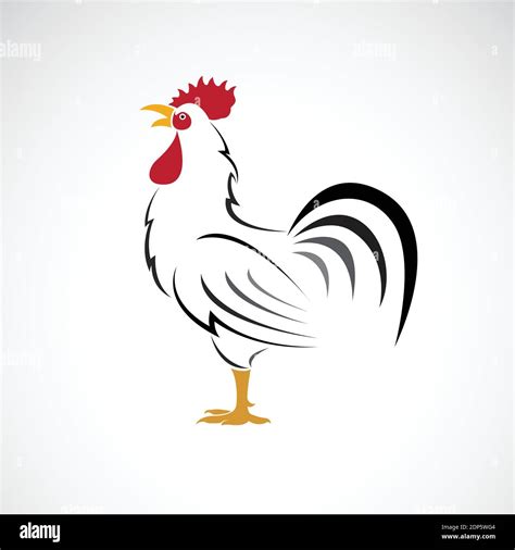 cock image|File:001